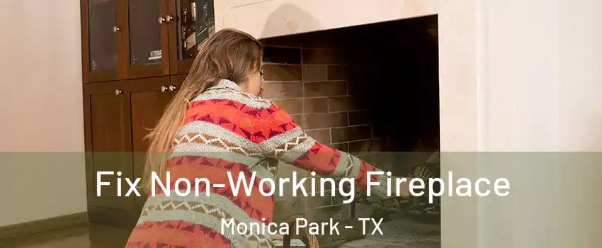 Fix Non-Working Fireplace Monica Park - TX