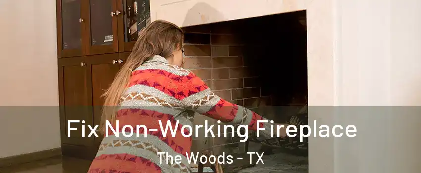 Fix Non-Working Fireplace The Woods - TX