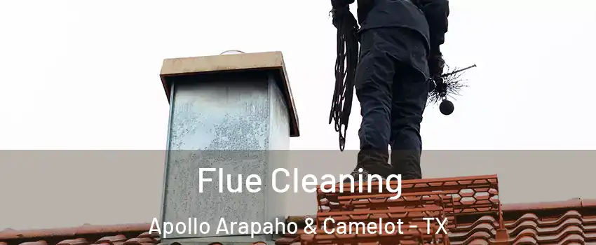 Flue Cleaning Apollo Arapaho & Camelot - TX