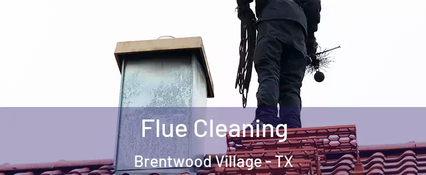 Flue Cleaning Brentwood Village - TX
