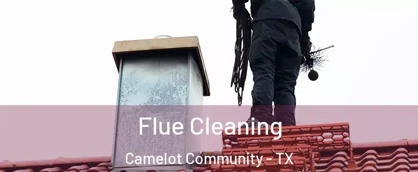 Flue Cleaning Camelot Community - TX