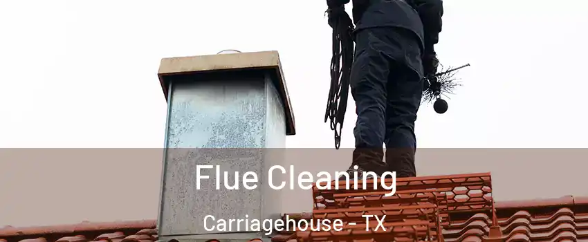 Flue Cleaning Carriagehouse - TX