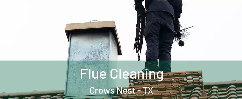 Flue Cleaning Crows Nest - TX
