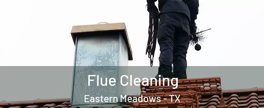 Flue Cleaning Eastern Meadows - TX