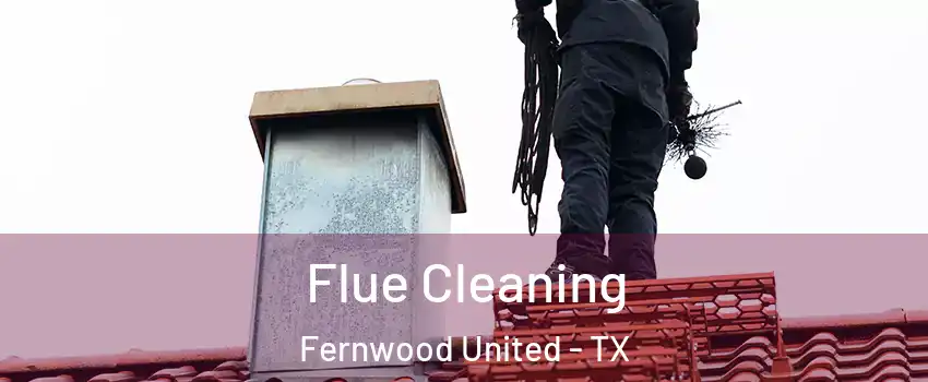 Flue Cleaning Fernwood United - TX