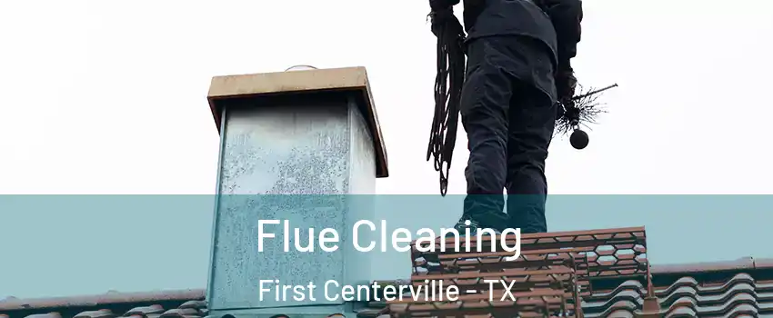 Flue Cleaning First Centerville - TX