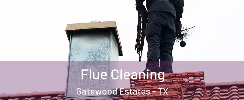 Flue Cleaning Gatewood Estates - TX