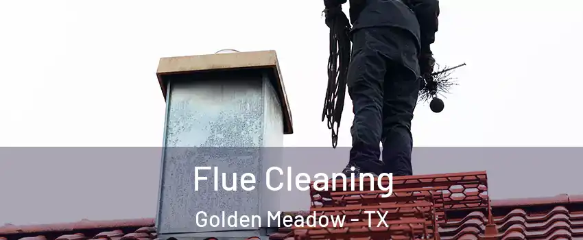 Flue Cleaning Golden Meadow - TX