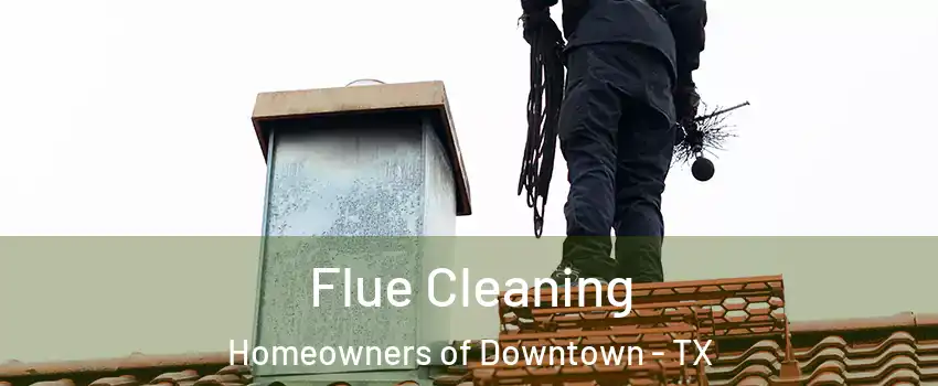 Flue Cleaning Homeowners of Downtown - TX