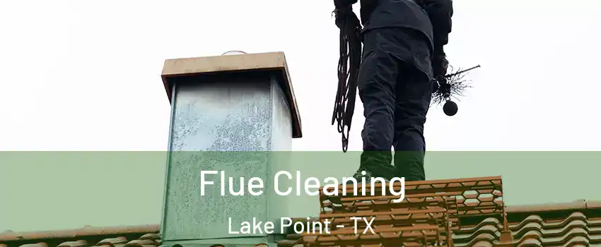 Flue Cleaning Lake Point - TX