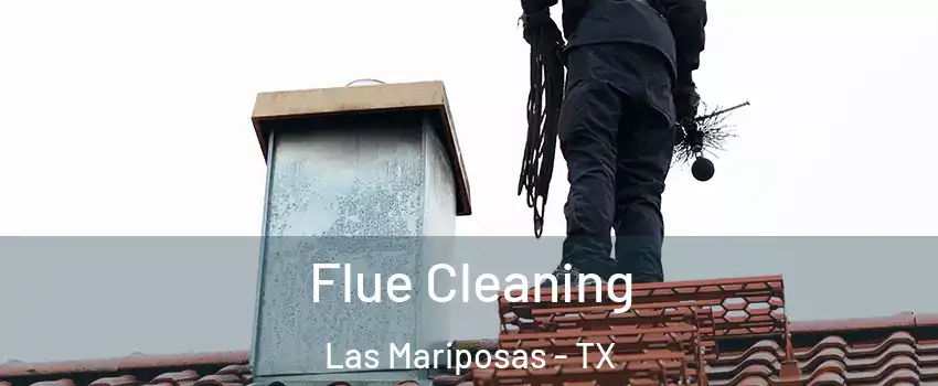 Flue Cleaning Las Mariposas - TX