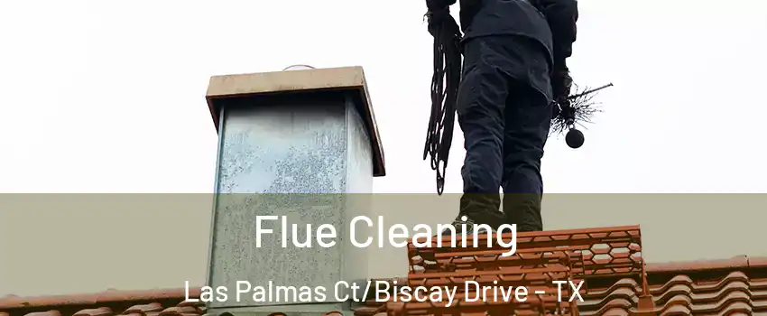 Flue Cleaning Las Palmas Ct/Biscay Drive - TX