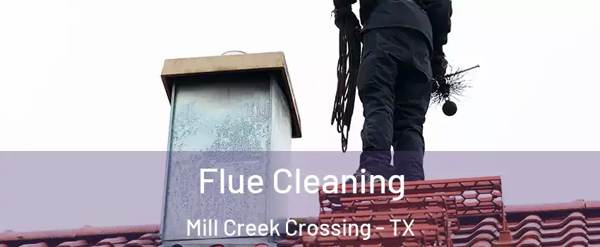 Flue Cleaning Mill Creek Crossing - TX