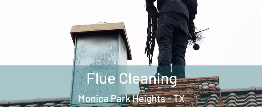 Flue Cleaning Monica Park Heights - TX