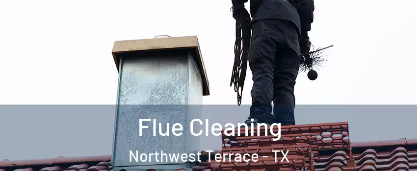 Flue Cleaning Northwest Terrace - TX