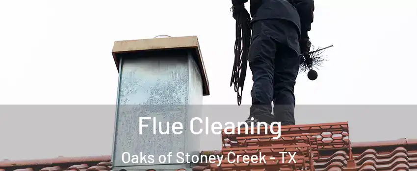 Flue Cleaning Oaks of Stoney Creek - TX