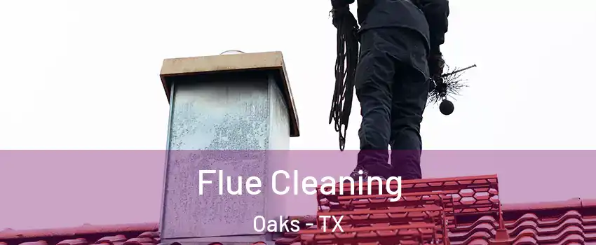 Flue Cleaning Oaks - TX
