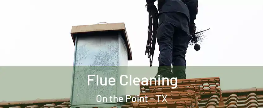 Flue Cleaning On the Point - TX