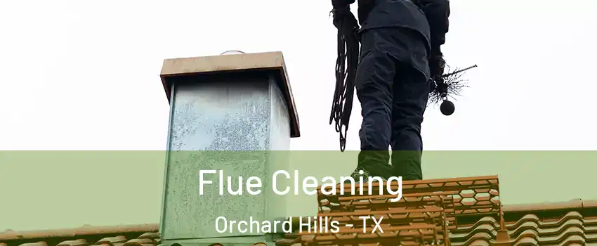 Flue Cleaning Orchard Hills - TX