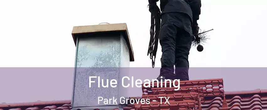 Flue Cleaning Park Groves - TX