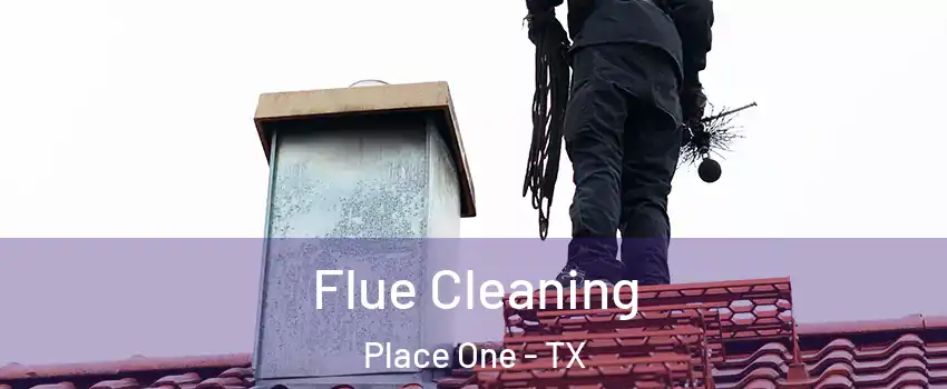 Flue Cleaning Place One - TX