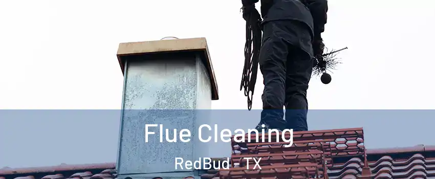 Flue Cleaning RedBud - TX