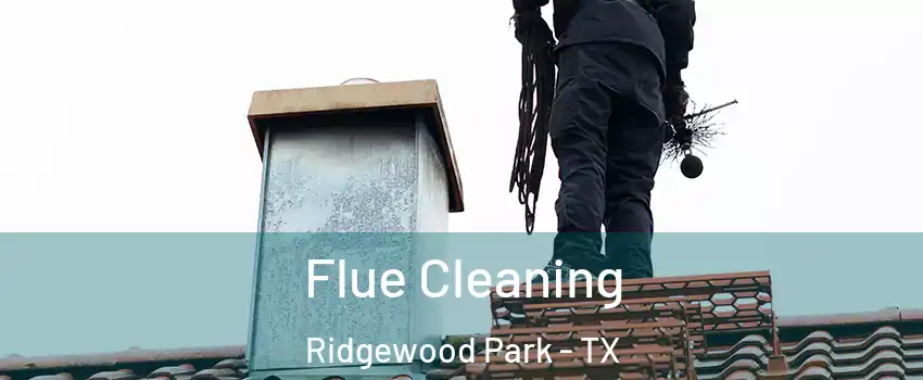 Flue Cleaning Ridgewood Park - TX