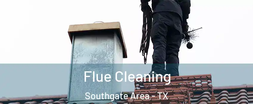 Flue Cleaning Southgate Area - TX