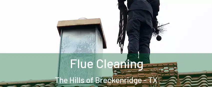 Flue Cleaning The Hills of Breckenridge - TX