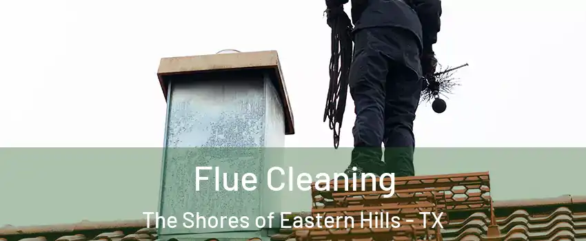 Flue Cleaning The Shores of Eastern Hills - TX