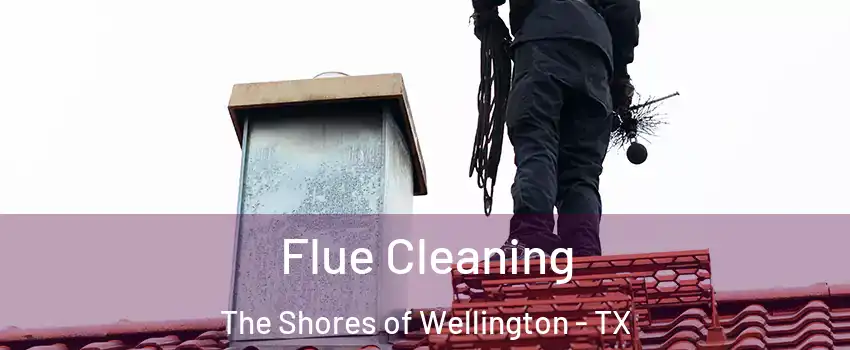 Flue Cleaning The Shores of Wellington - TX