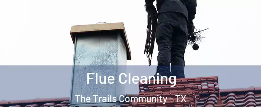 Flue Cleaning The Trails Community - TX