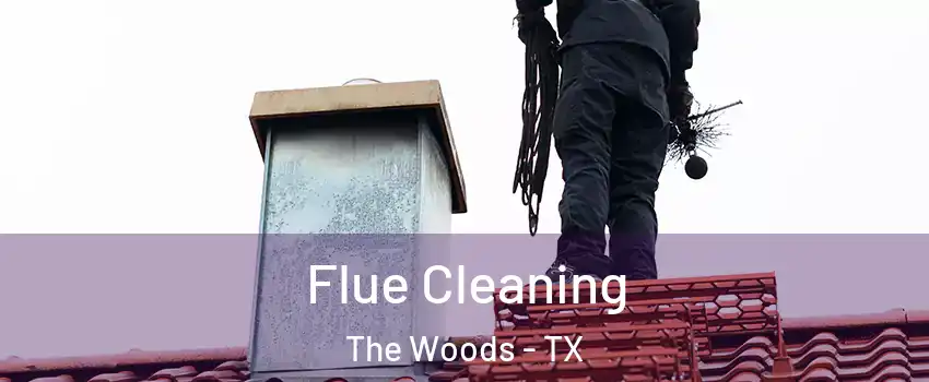 Flue Cleaning The Woods - TX