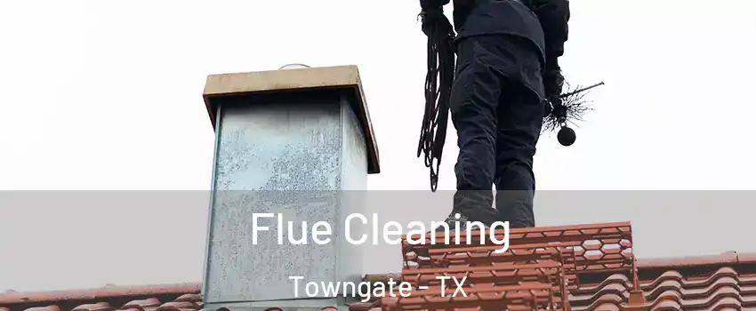 Flue Cleaning Towngate - TX