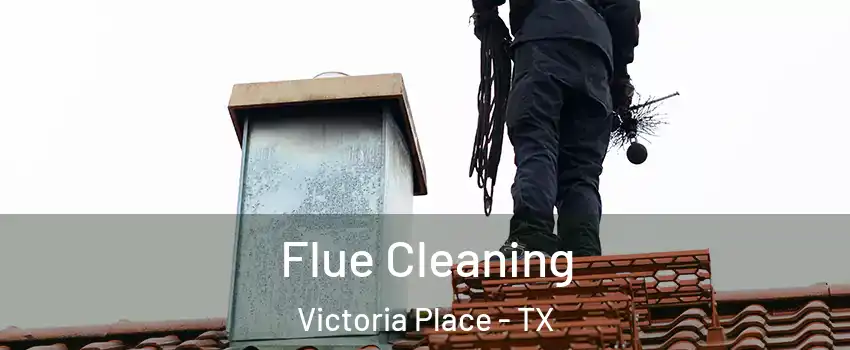 Flue Cleaning Victoria Place - TX