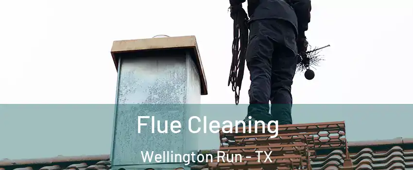 Flue Cleaning Wellington Run - TX