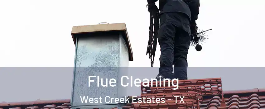 Flue Cleaning West Creek Estates - TX