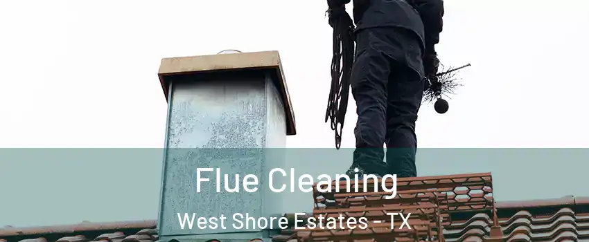 Flue Cleaning West Shore Estates - TX