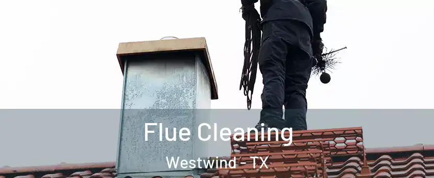 Flue Cleaning Westwind - TX