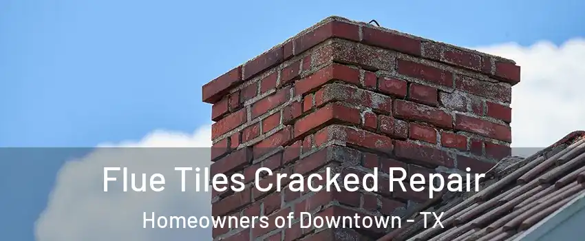 Flue Tiles Cracked Repair Homeowners of Downtown - TX