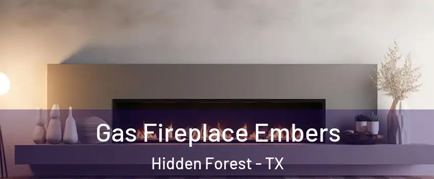 Gas Fireplace Embers Hidden Forest - TX