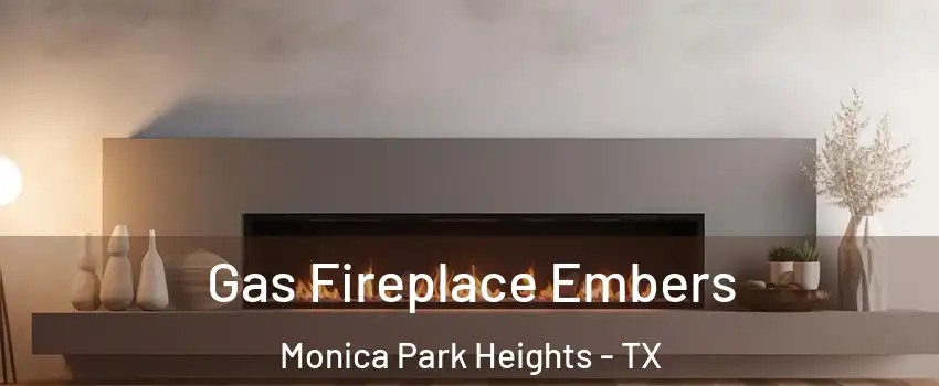 Gas Fireplace Embers Monica Park Heights - TX