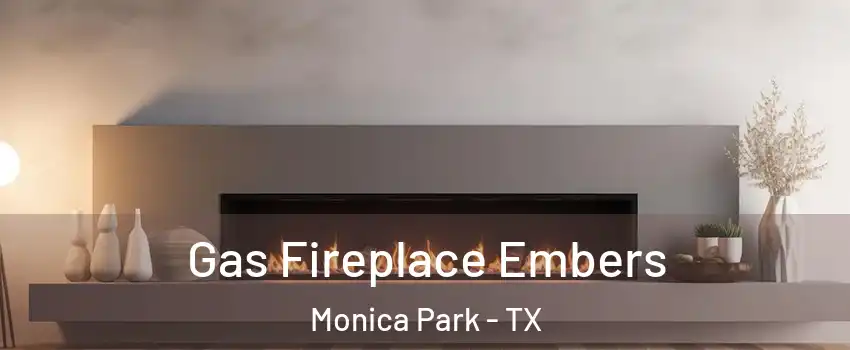 Gas Fireplace Embers Monica Park - TX