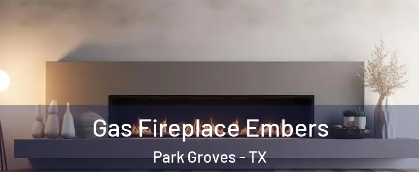 Gas Fireplace Embers Park Groves - TX