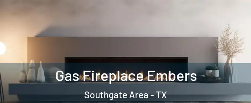 Gas Fireplace Embers Southgate Area - TX