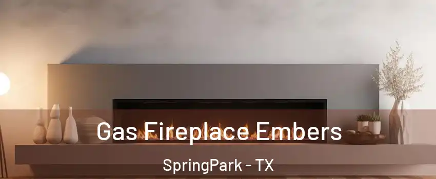 Gas Fireplace Embers SpringPark - TX