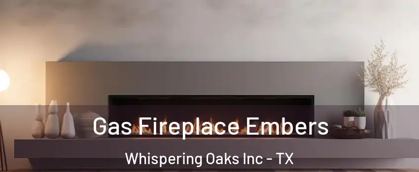 Gas Fireplace Embers Whispering Oaks Inc - TX