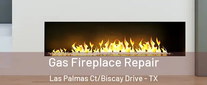 Gas Fireplace Repair Las Palmas Ct/Biscay Drive - TX
