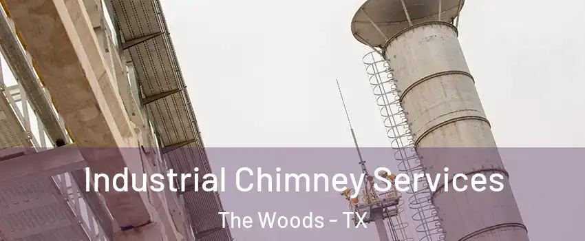Industrial Chimney Services The Woods - TX