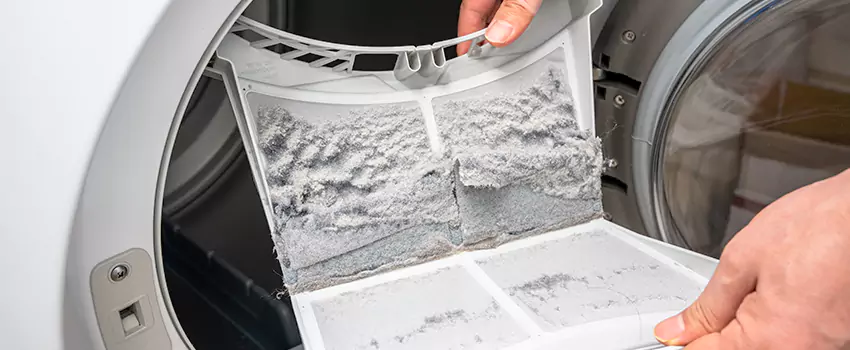 Best Dryer Lint Removal Company in Valley Creek 1, Texas